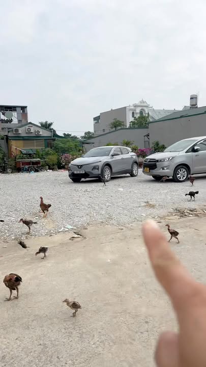 Đất mặt tiền 8,6m x 26,1m tại KCN Hoàng Xá - Cơ hội đầu tư sinh lời ngay!