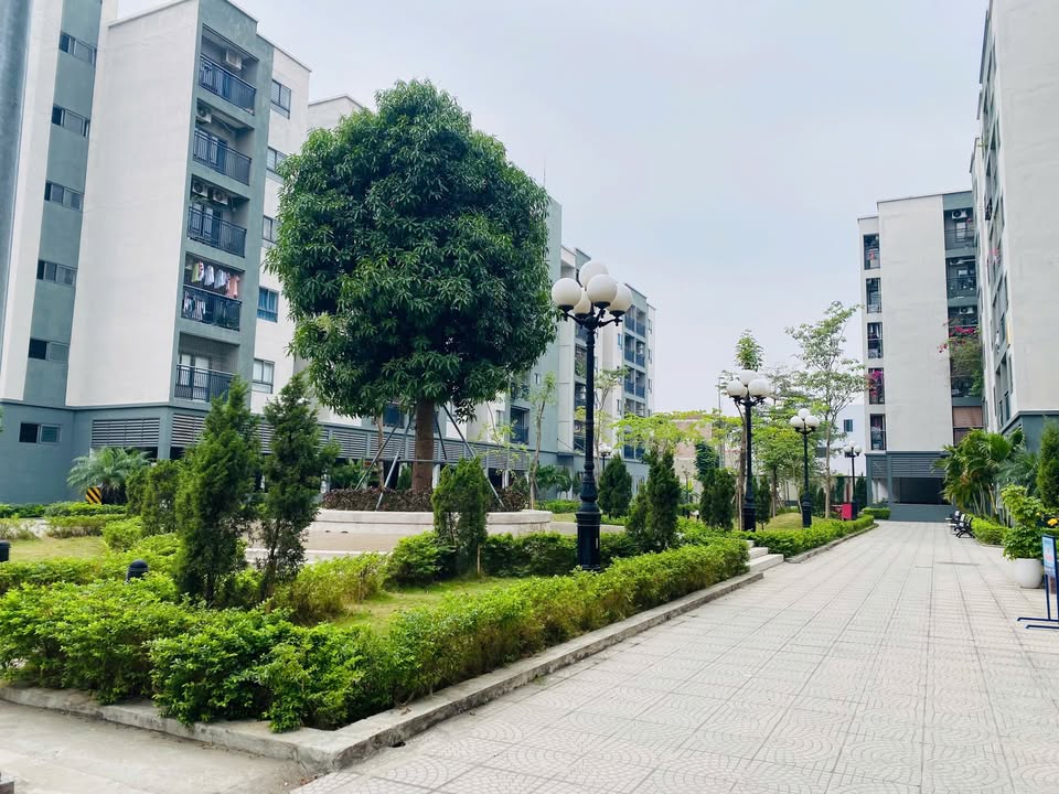 Căn hộ chung cư Rose Garden Mê Linh 70m² giá 1.8 tỷ - Không gian sống thoáng mát!