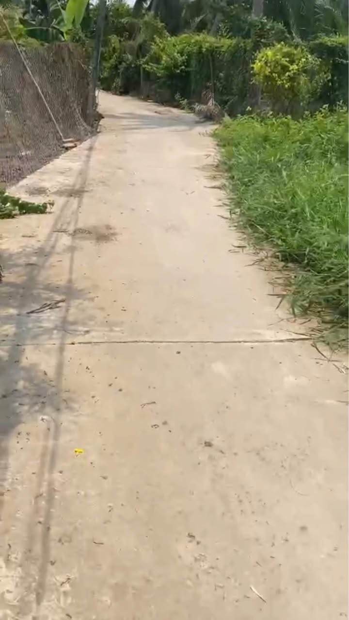 Đất nền mặt tiền Đan, Lạc Tấn, Tân Trụ 173m² giá 590 triệu - Đầu tư sinh lời ngay!