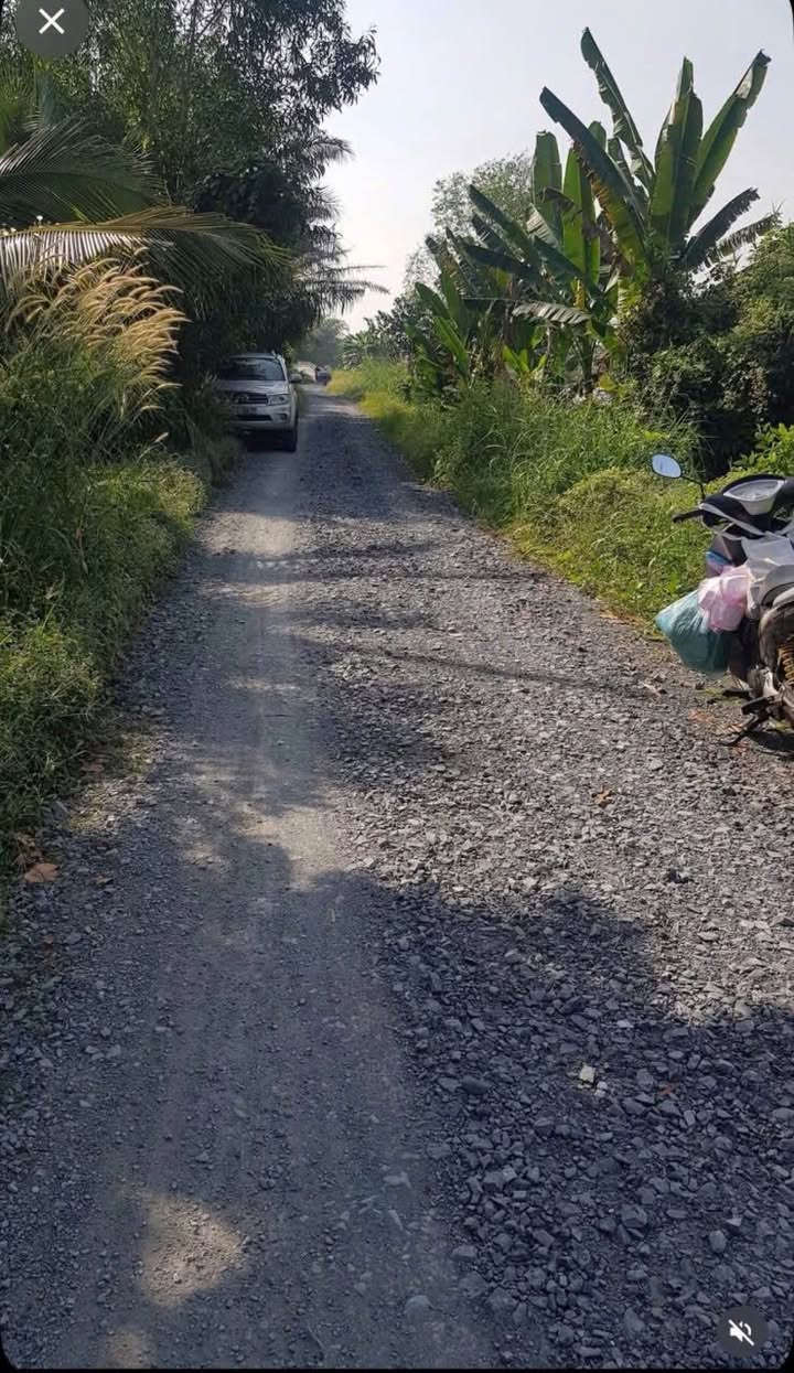 Đất vườn 11.400m² tại Lương Bình, Bến Lức chỉ 7.41 tỷ - Cơ hội đầu tư tuyệt vời!