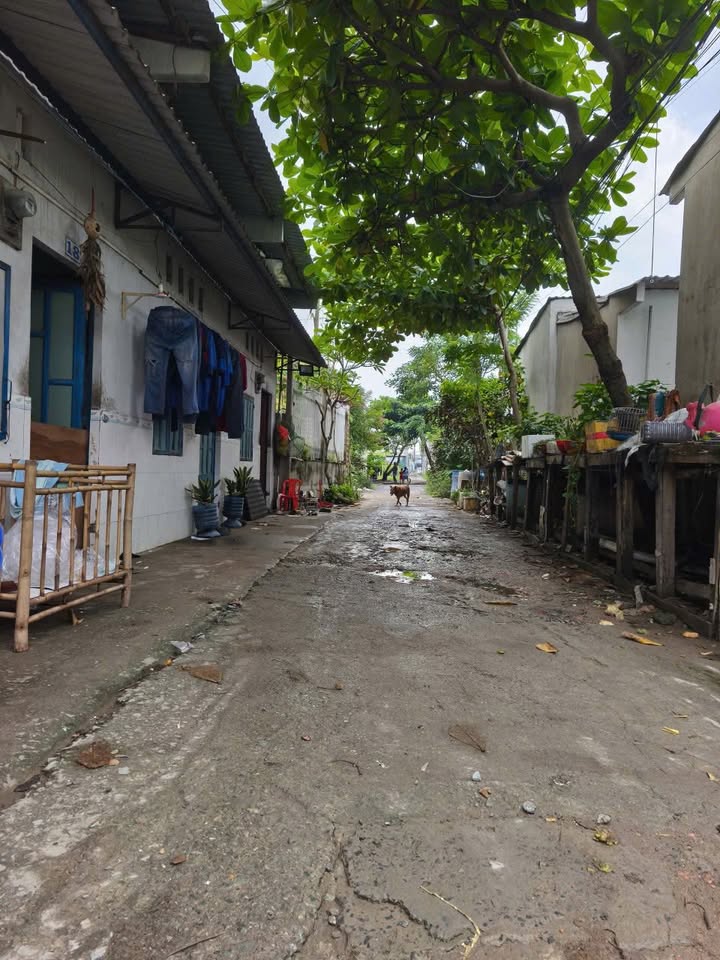 Đất đầu tư đẹp tại Đức Hòa, Long An 132m² giá 1.65 tỷ - Sổ hồng riêng sang tên ngay!