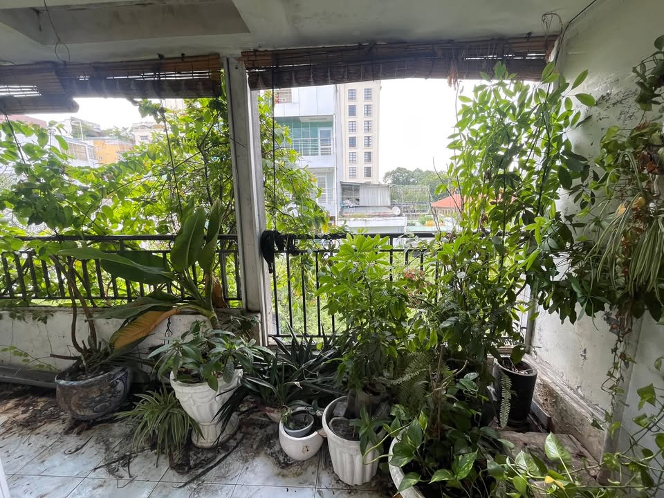 Văn phòng cho thuê tại Lý Tự Trọng, Quận 1 - 110m² giá 25 triệu/tháng - Phù hợp đa dạng nhu cầu