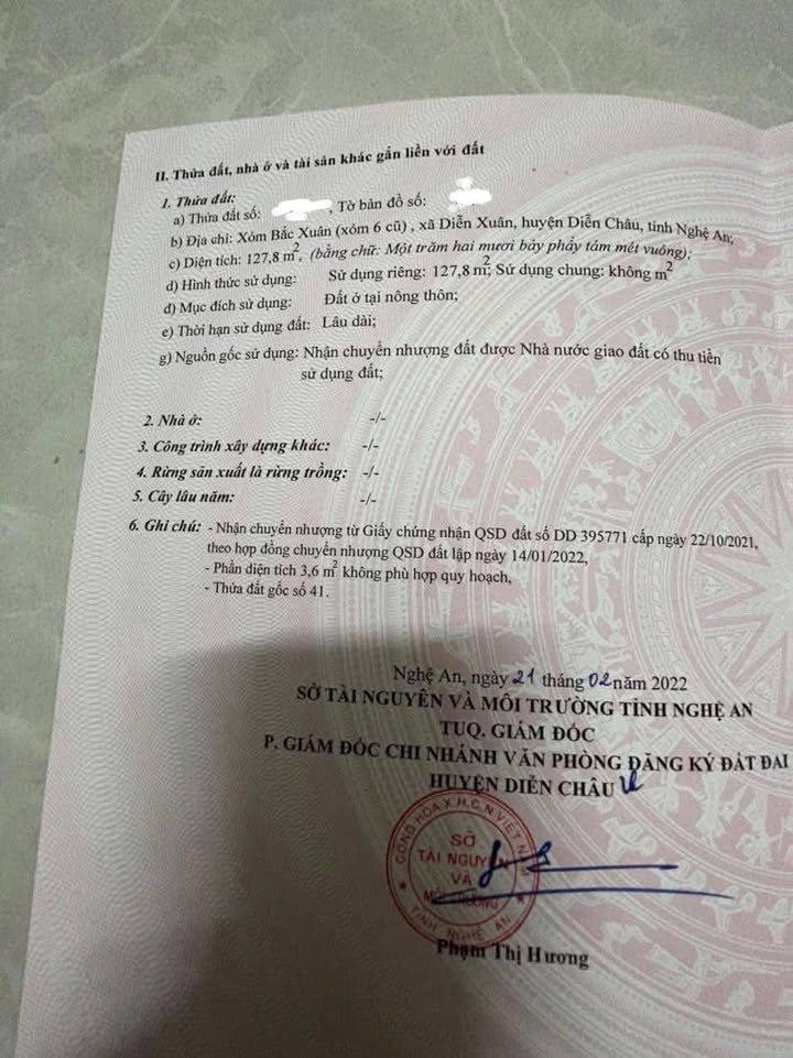 Đất Diễn Xuân 127.3m² giá 1.2 tỷ - Hướng Nam đẹp, đường rộng thoáng!