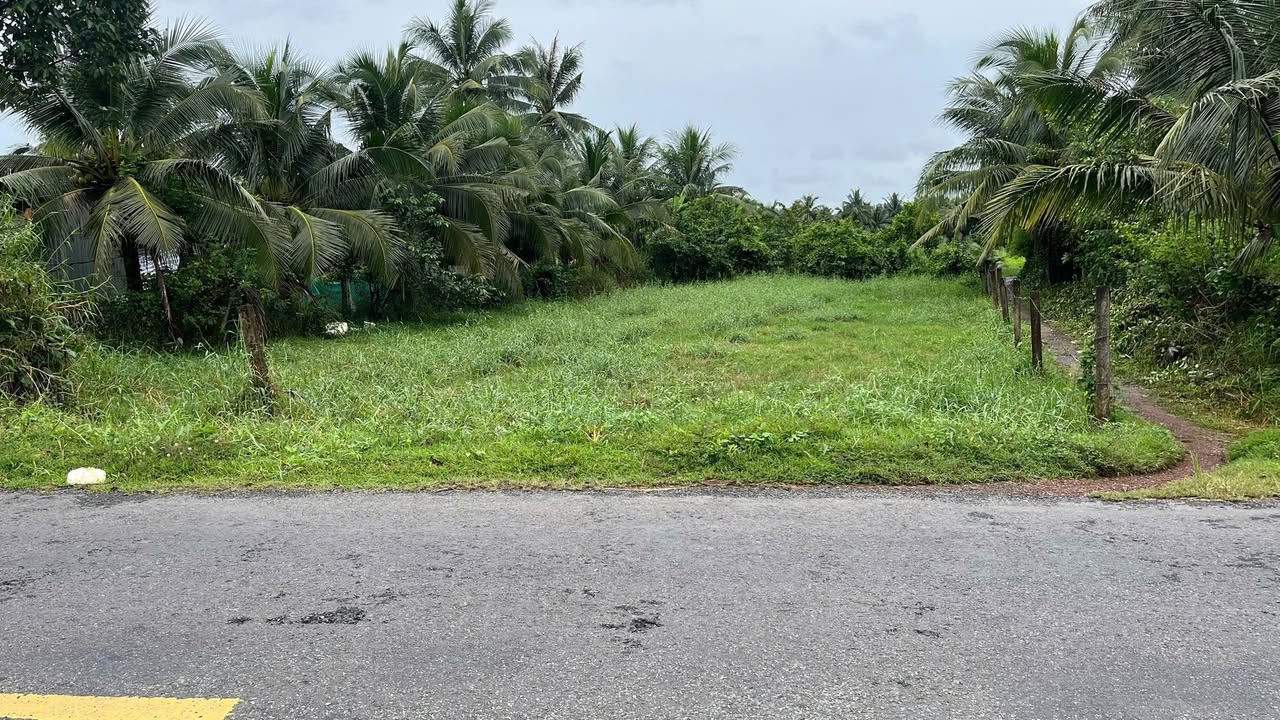 Đất nền mặt tiền ĐT885 xã Hưng Nhượng 1000m² - Cơ hội đầu tư tuyệt vời!