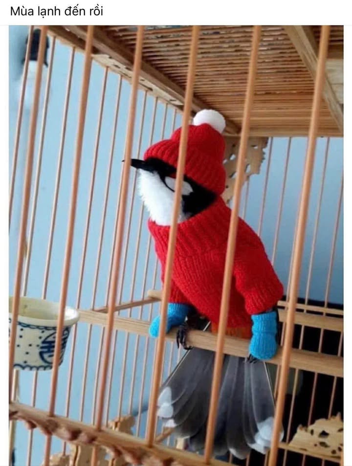 Nhà 2 mặt tiền Trần Nhân Tông, Khánh Xuân 133m² giá 1.8 tỷ - Cần bán gấp!