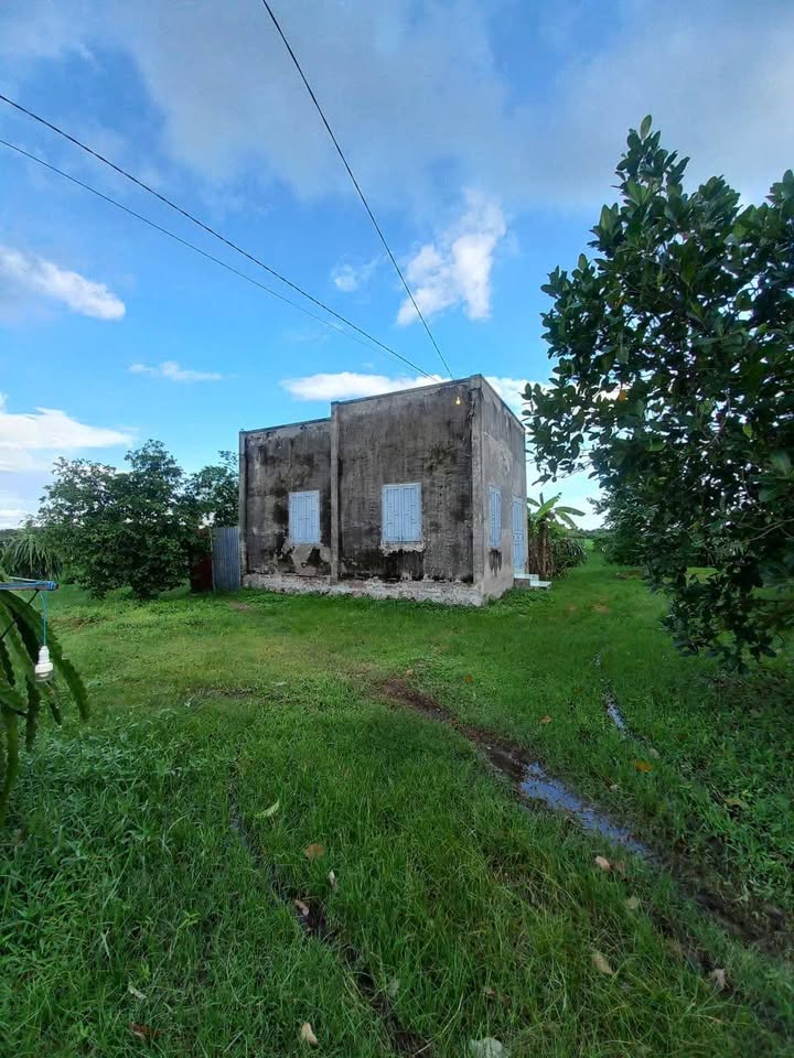 Đất Farm 4000m² Mặt Tiền Kênh N 29 - Giá 1.62 tỷ, Tiềm Năng Đầu Tư!