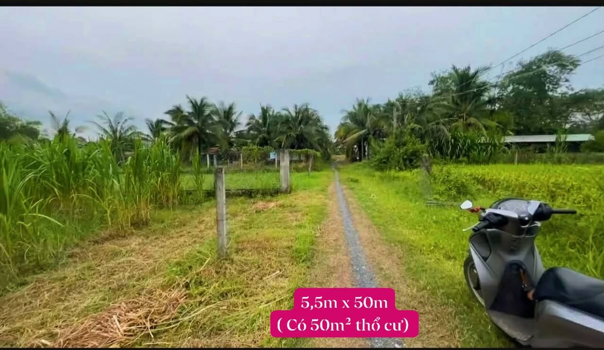 Đất nền xã Bến Cầu, Tây Ninh 275m² giá 410 triệu - Cơ hội đầu tư hấp dẫn!