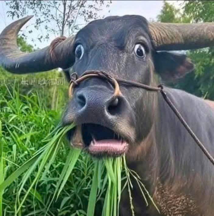 Nhà mặt tiền Khuông Việt, Tân Phú 160m² giá 12.5 tỷ - View góc, thích hợp kinh doanh!