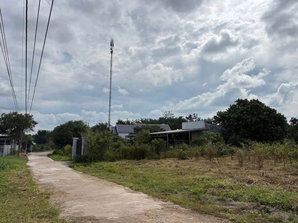 Đất nền Đồng Nơ Hớn Quản 1000m² giá 370 triệu - Đầu tư sinh lời ngay hôm nay!