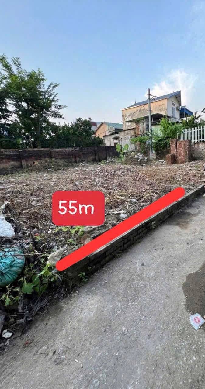 Đất thổ cư Ngọc Đình, Thanh Oai, 55m² giá 2 tỷ - Đường ô tô vào tận nơi!