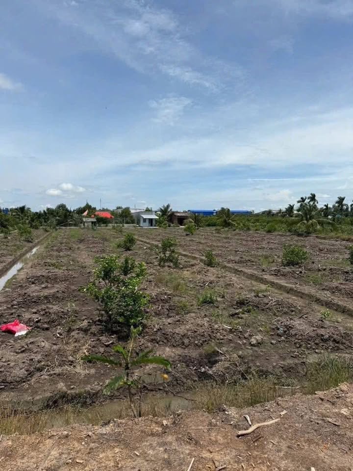 Đất Lương Hòa Bến Lức 4000m² giá chỉ 1 tỷ - Cơ hội đầu tư hấp dẫn!