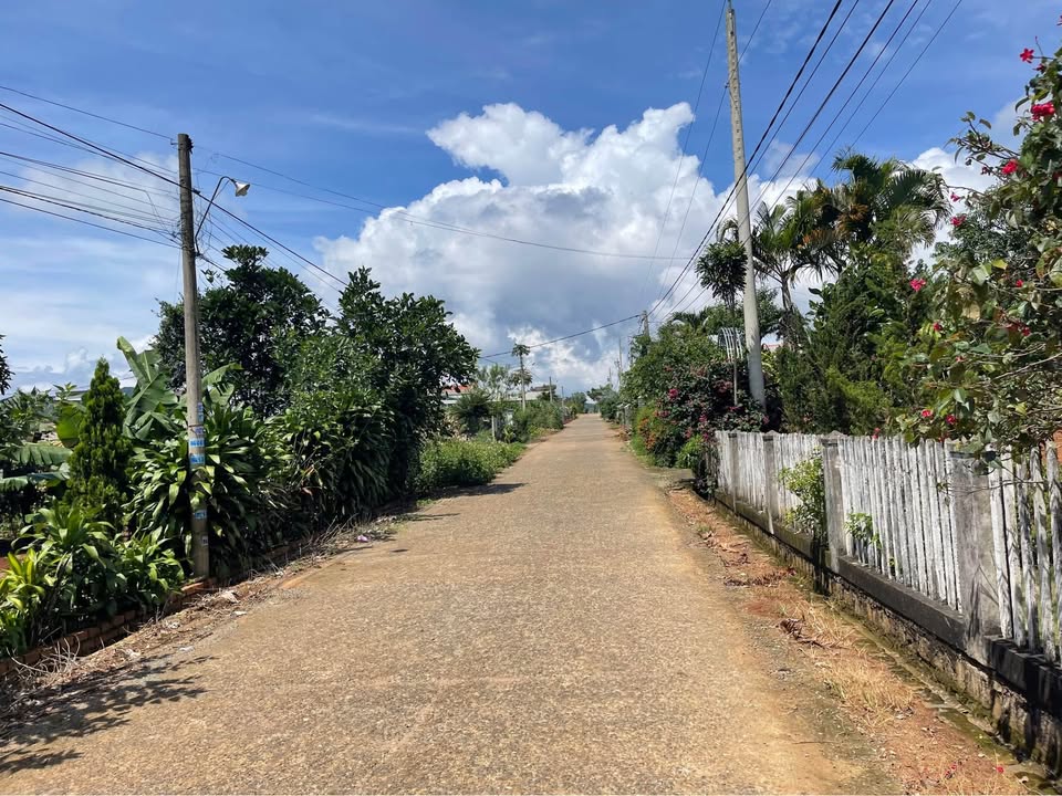 Đất thổ cư Hiệp Thạnh, Đức Trọng 440m² giá 4.4 tỷ - Đầu tư sinh lời ngay!