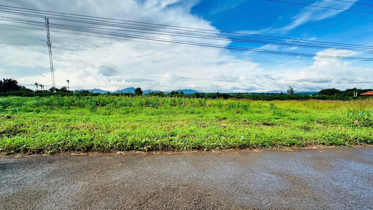 Đất nền Dương Minh Châu, Pleiku 500m² giá 1.6 tỷ - Thích hợp kinh doanh hoặc nghỉ dưỡng!