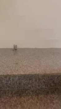 Nhà cho thuê 2 tầng tại Cổ Mân Mai, Hòa Xuân 88m² giá 7 triệu - Không thể bỏ lỡ!