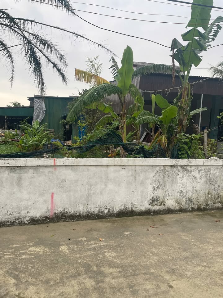 Đất nền Nguyễn Trường Tộ, TP Vinh 60m² giá 1.9 tỷ - Ngõ thông rộng, tiện lợi!