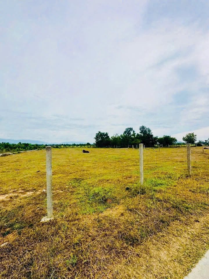 Đất nền Ninh Thọ, Ninh Hòa 2749m² giá chỉ 5 triệu/m² - Cơ hội đầu tư tuyệt vời!