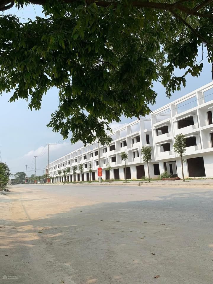 Shophouse LK09A Trần Hưng Đạo Sầm Sơn 112,5m² giá 3,5 tỷ - Chính chủ bán gấp!