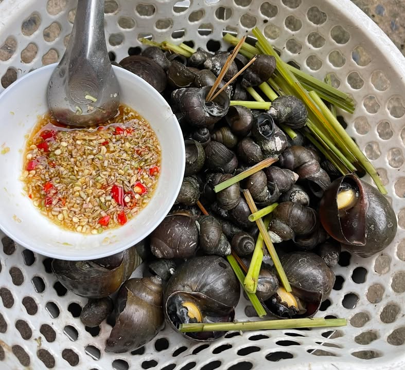 Đất nền TĐC Phong Điền An Bình 80m² giá 1.5 tỷ - Đầu tư sinh lời ngay hôm nay!