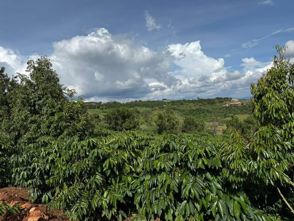 Đất nền 1ha Đoàn Kết Đan Phượng giá 4.95 tỷ - Pháp lý rõ ràng, sẵn nhà