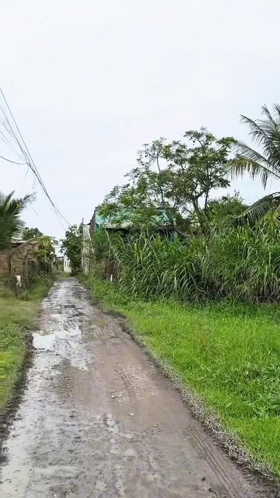 Đất nền Hòa Khánh Tây, Đức Hòa, 205m² giá 950 triệu - Sổ hồng riêng, ô tô vào tận nơi!