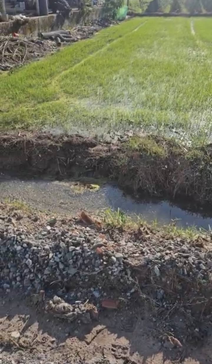 Đất thổ cư đường Rừng Sến, Đức Hòa 148m² giá 1.35 tỷ - Đầu tư sinh lời ngay!