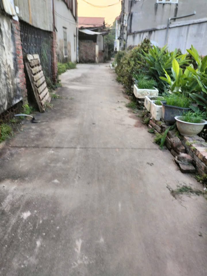 Đất nền Phù Khê, Từ Sơn 43.9m² giá 1 tỷ - Sổ hồng chính chủ!