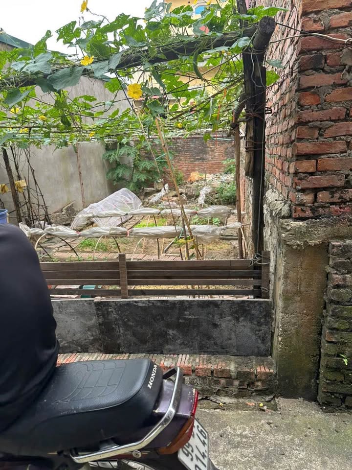 Đất nền Phù Khê Từ Sơn 50m² giá 1 tỷ - Vị trí đẹp, đầu tư sinh lời!