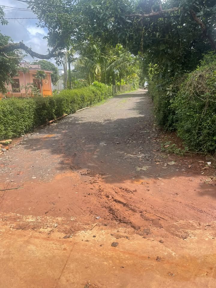 Đất thổ cư 300m² đường Ami Đoan, Buôn Ma Thuột chỉ 200 triệu - Cơ hội đầu tư hấp dẫn!