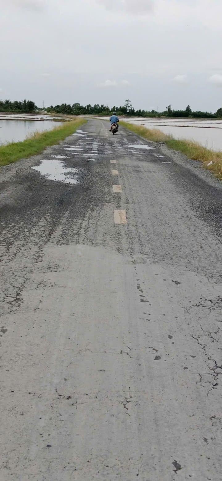 Đất nền Tài Văn, Trần Đề 2000m² giá 800 triệu - Pháp lý rõ ràng, công chứng liền tay!