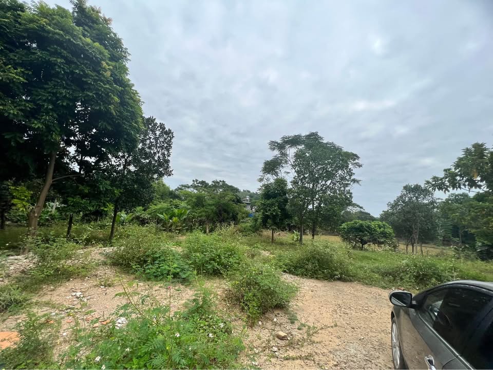 Đất thổ cư 200m² tại thị trấn Giang Tiên, Phú Lương - Giá chỉ 1 tỷ VND!