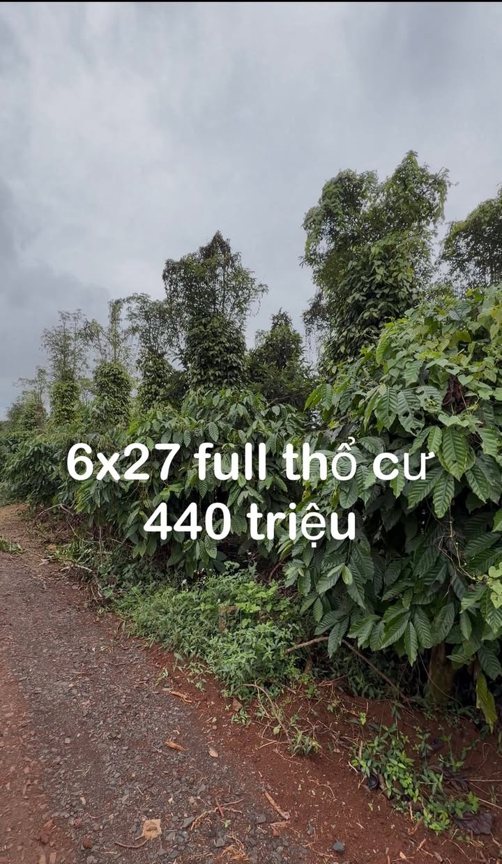 Đất nền thổ cư 164m² tại Đức Mạnh, Đắk Mil chỉ 440 triệu - Sổ hồng chính chủ!