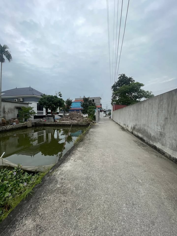 Đất nền lô góc An Tiến, An Lão 63m² giá 700 triệu - Đầu tư sinh lời hấp dẫn!