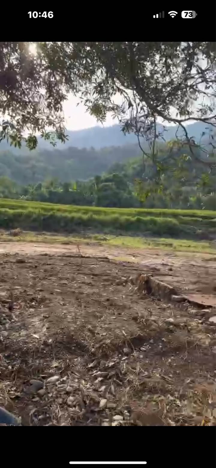 Đất thổ cư 400m² view suối tại phường Tân Hòa - Sổ hồng chính chủ