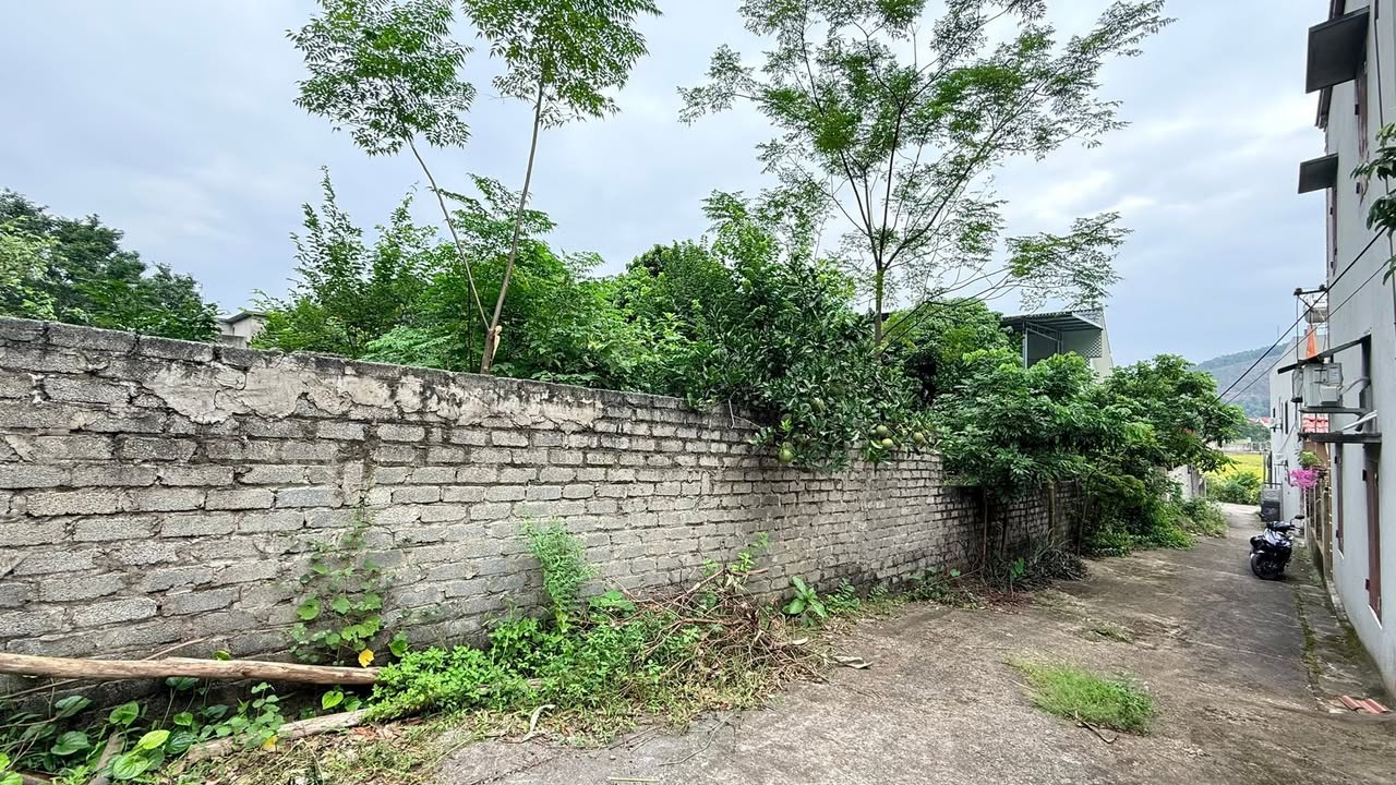 Đất nền Tiền Phong Yên Dũng 900m² giá 5 tỷ - Đầu tư sinh lời ngay!