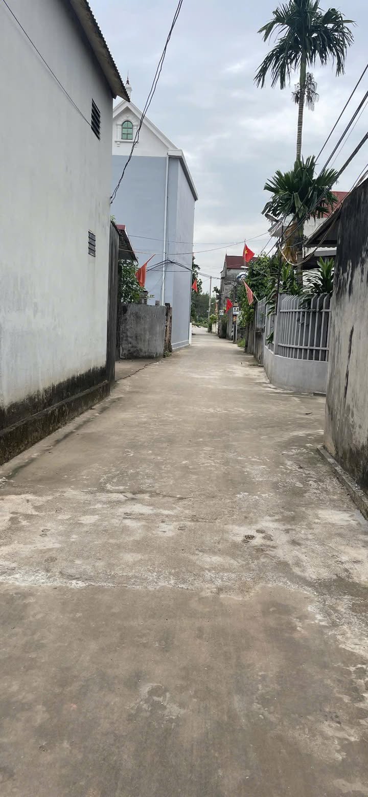 Đất lô góc 2 mặt tiền tại Tân Luận, Lạng Giang 131m² - Đầu tư sinh lời ngay!