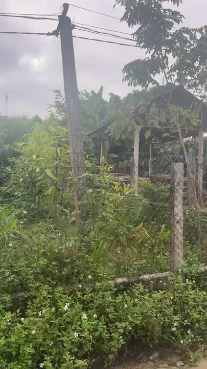 Đất nền Tây Cốc Đoan Hùng 1126m² giá thỏa thuận - Khu vực phát triển tiềm năng!