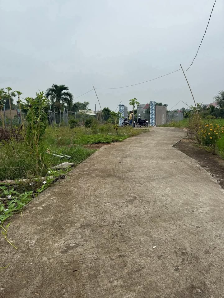 Đất vườn 1180m² xã Phước Hậu, Cần Giuộc - Đầu tư sinh lời với giá 1.95 tỷ