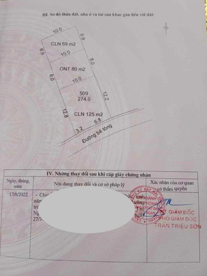 Đất nền Nam Dương, Lục Ngạn 274m² giá chỉ 600 triệu - Cơ hội đầu tư hấp dẫn!