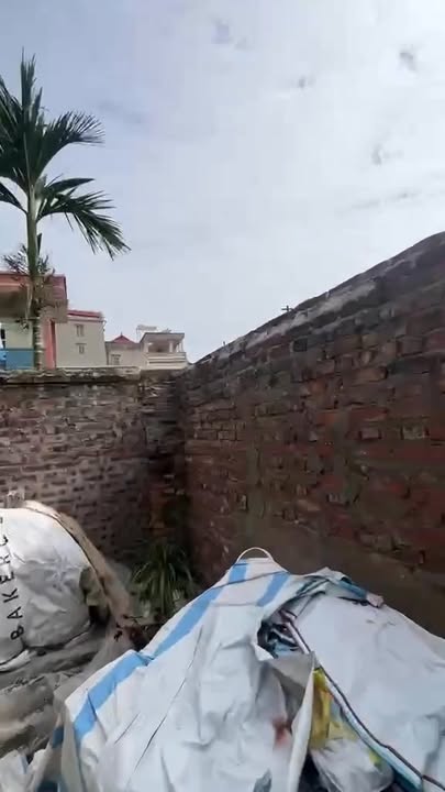 Đất Kim Thiều, Phường Hương Mạc, 124.5m² chỉ 2.739 tỷ - Đầu tư sinh lời ngay!