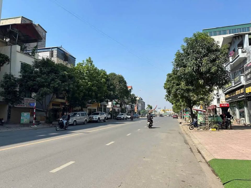 Đất đấu giá 217m² đường Chính Trung, Gia Lâm - Cơ hội đầu tư sinh lời!