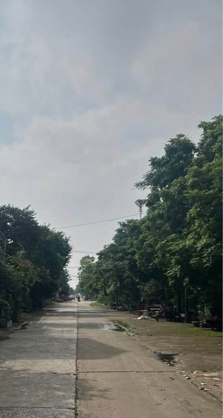 Đất thổ cư 161m² tại xã Sơn Thành, Ninh Bình - Giá 1 tỷ hợp lý!