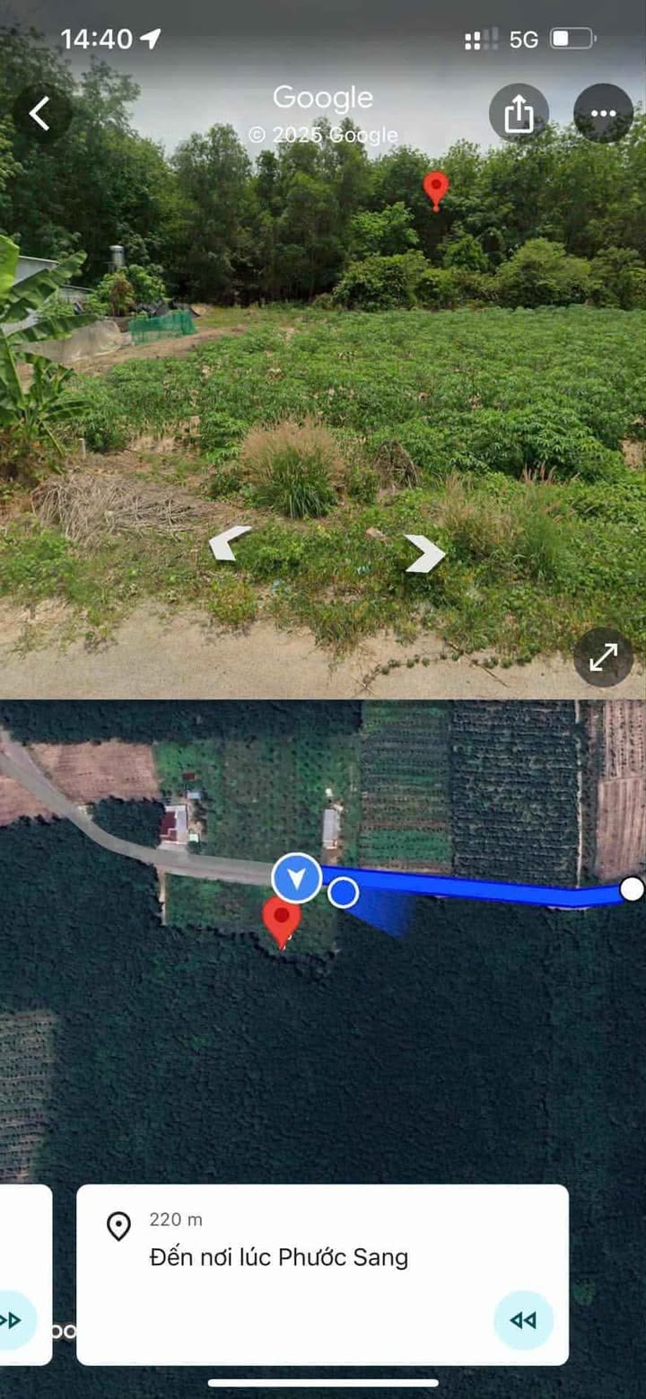 Đất thổ cư mặt tiền đường DH504, Phước Sang, 388m² - Đầu tư sinh lời ngay!