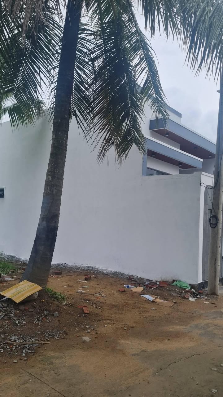 Đất nền Phường Phú Tân, TP Bến Tre 100m² giá 650 triệu - Sổ hồng chính chủ!