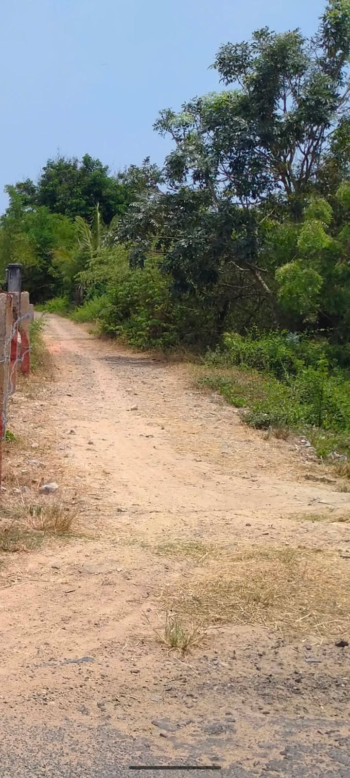 Đất sổ đỏ 550m² tại Hàm Liêm, giá chỉ 320 triệu - Cơ hội đầu tư tuyệt vời!