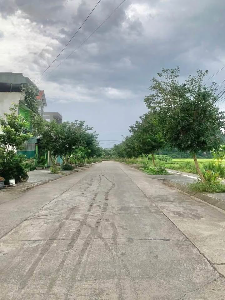 Đất Nền Ninh Giang Hoa Lư 100m² giá 3.9 tỷ - Vị trí trung tâm, thuận tiện cho đầu tư!