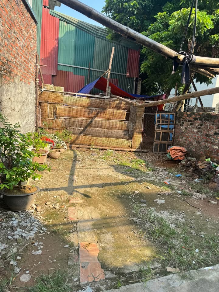 Đất thổ cư An Thượng Hoài Đức 48m² giá 4 tỷ - Ngõ thông, cơ hội đầu tư hấp dẫn!