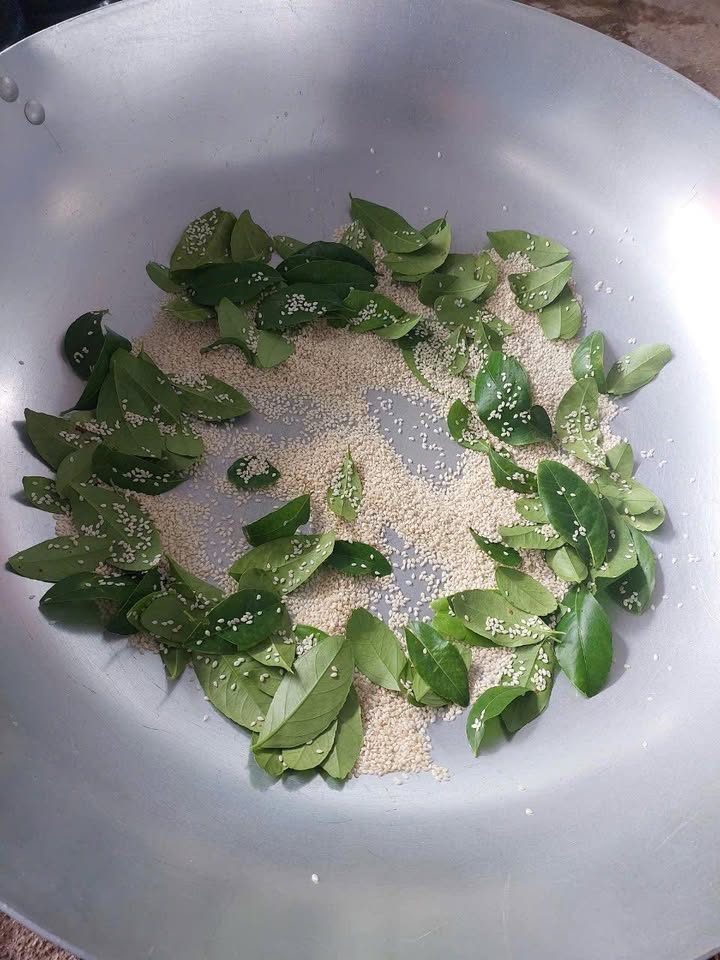 Đất thổ cư tại Khu phố Phú Hiệp 3, Đông Hòa 100m² giá 500 triệu - Cơ hội đầu tư hấp dẫn!