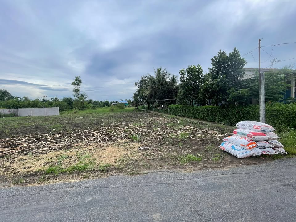 Đất nền F0 đường nhựa ấp Bình Hoà Đông, Gò Công Tây 165m² giá 350 triệu - Bớt lộc cho khách thiện chí!