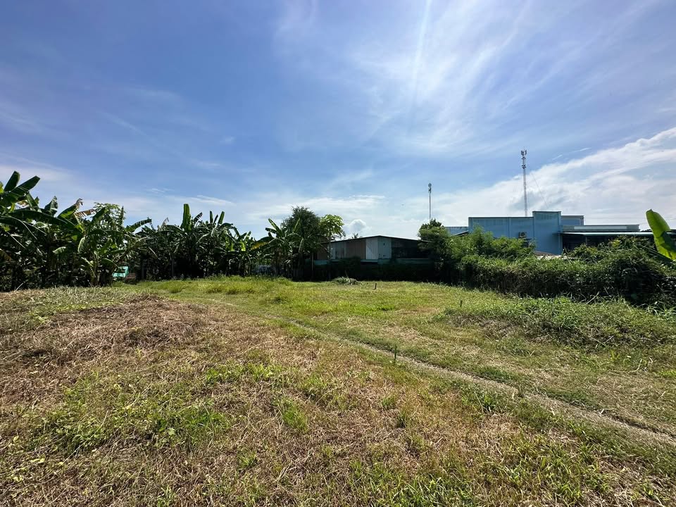 Đất thổ cư Gò Công Tây 161m² giá 300 triệu - Đất view kênh, tiện ích đầy đủ!