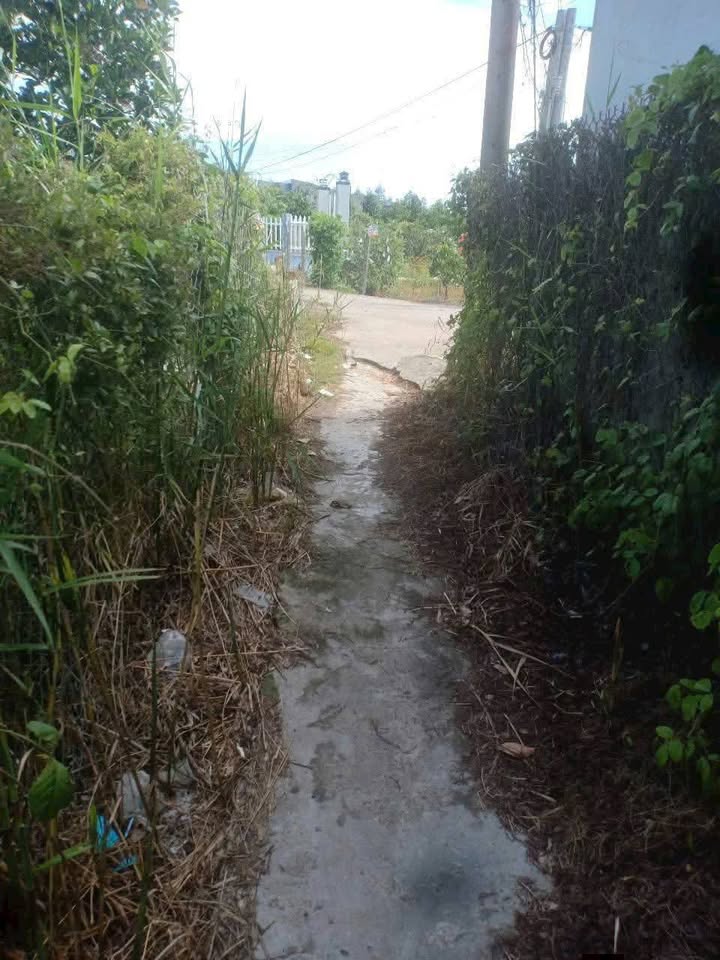 Đất vườn 1241m² tại ấp Mỹ Phú, Tiền Giang giá 870 triệu - Cần bán gấp!